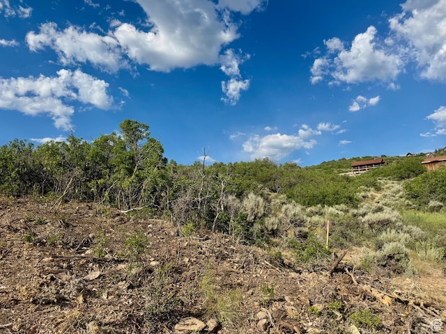 7321 E Oakview Dr Unit 1473, Heber City, UT 84032