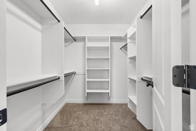 713 S 600 E, Layton, UT 84041 - spacious closet featuring dark carpet