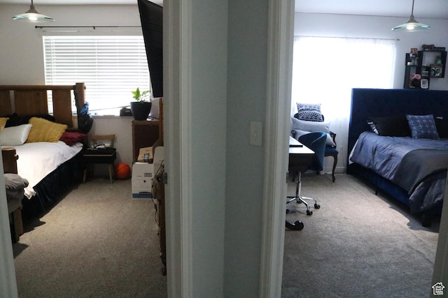 1521 N 420 W Unit 104, Logan, UT 84341 - bedroom featuring carpet floors