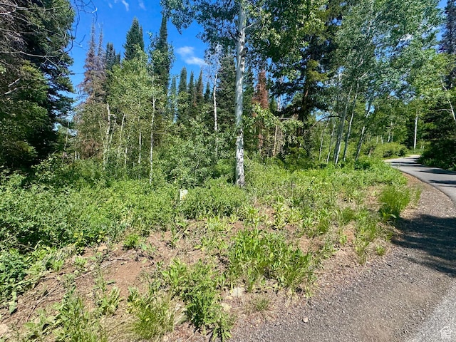 9146 N Uinta Dr Unit 509, Oakley, UT 84055 - photo 5