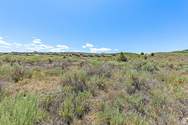 6450 E Mayfly Ct Unit B-63, Kamas, UT 84036 - photo 16