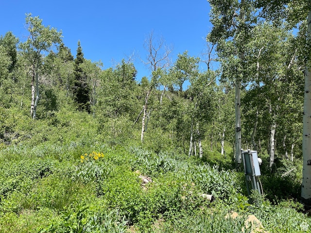 1981 S Uintah View Dr W, Coalville, UT 84017