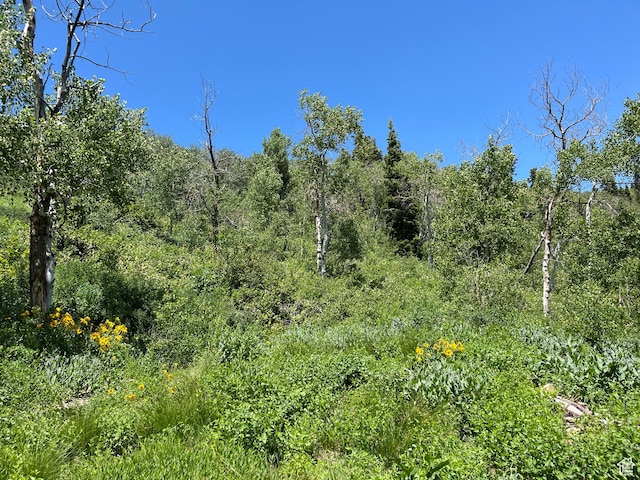 1981 S Uintah View Dr W, Coalville, UT 84017