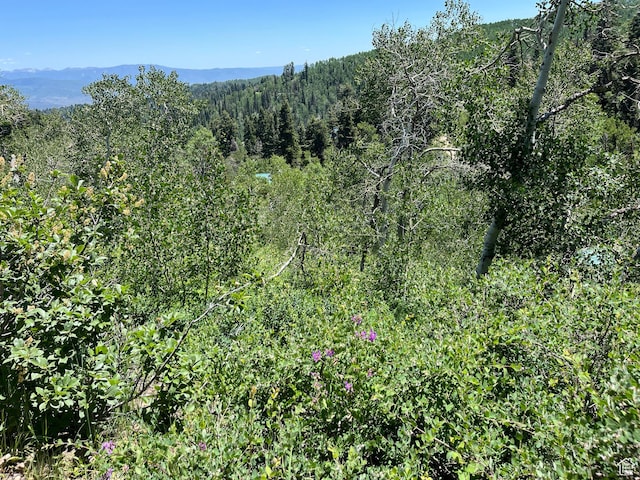 1981 S Uintah View Dr W, Coalville, UT 84017