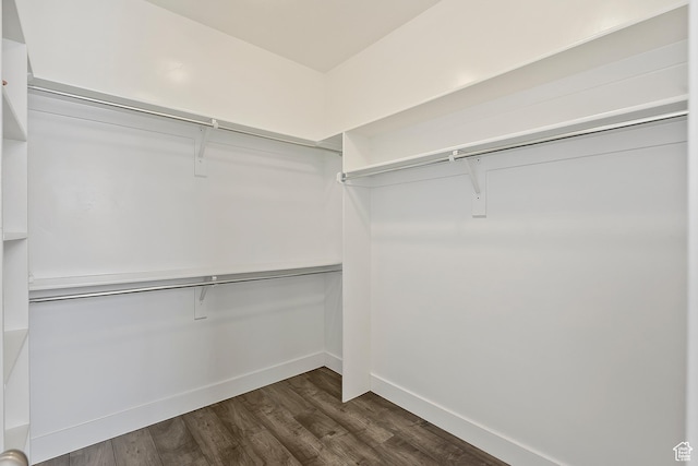 3359 N Redshoulder Dr, Layton, UT 84040 - spacious closet featuring dark wood-style floors