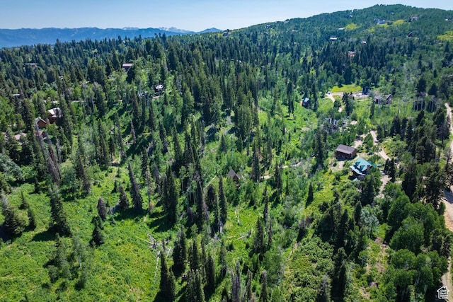 1519 Pine Needle Cir, Coalville, UT 84017 - aerial view of property's location with a forest and mountains
