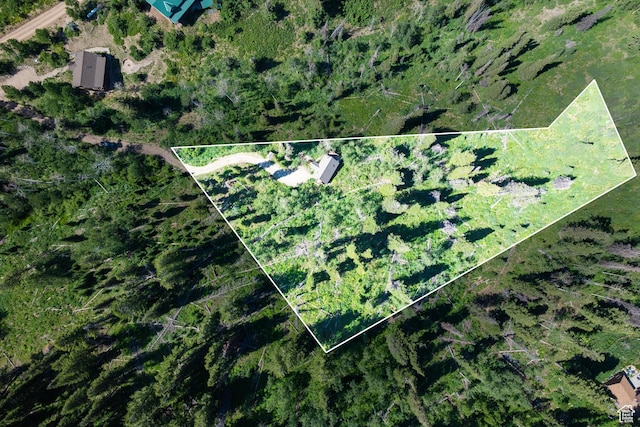 1519 Pine Needle Cir, Coalville, UT 84017 - view of property location featuring property boundaries highlighted