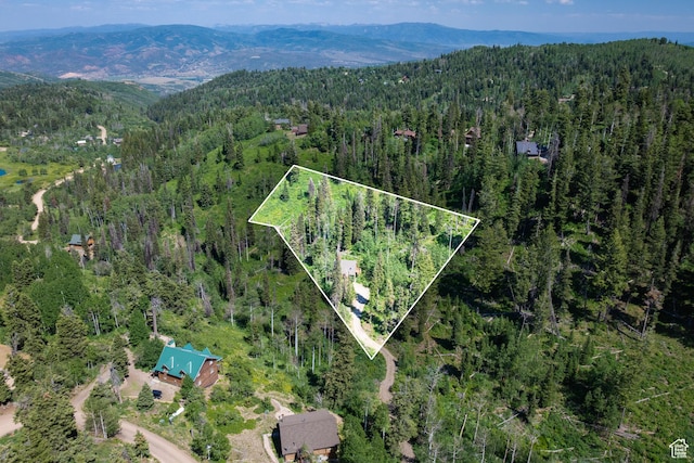 1519 Pine Needle Cir, Coalville, UT 84017 - aerial view of property's location featuring mountains and property parcel outlined