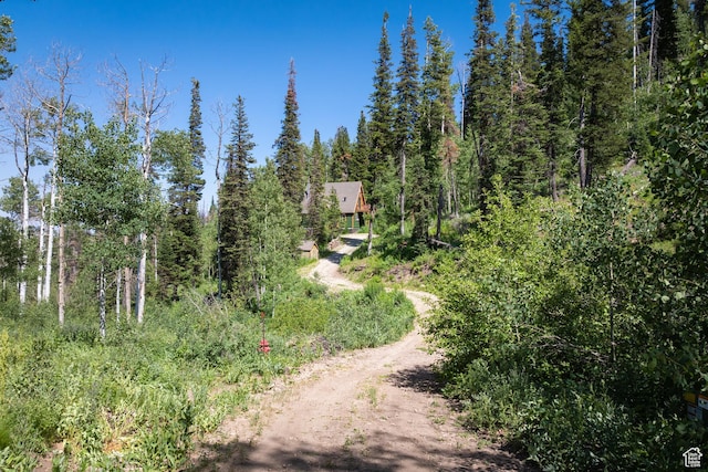 1519 Pine Needle Cir, Coalville, UT 84017 - view of dirt / gravel road
