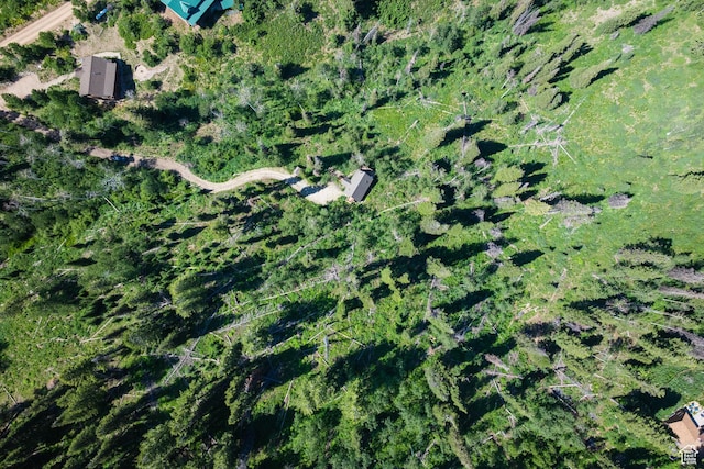 1519 Pine Needle Cir, Coalville, UT 84017 - aerial overview of property's location