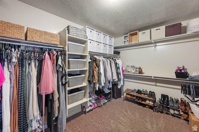 3371 W Waterbridge Cv Unit 417, South Jordan, UT 84095 - spacious closet featuring carpet floors