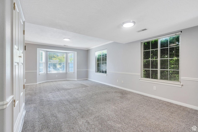303 E 900 S Unit 42, Payson, UT 84651 - spare room with carpet flooring and a textured ceiling