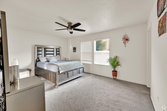 8282 S 6430 W, West Jordan, UT 84081 - photo 13