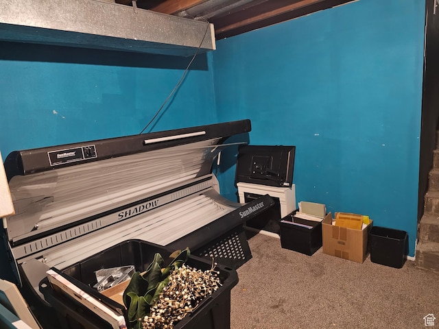 92 W 300 N, Huntington, UT 84528 - misc room featuring a tanning bed and carpet flooring