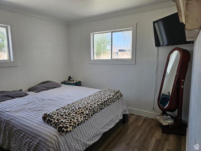 92 W 300 N, Huntington, UT 84528 - bedroom featuring dark wood finished floors, multiple windows, and crown molding