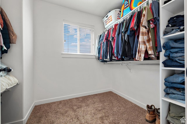 1965 N 3050 W, Provo, UT 84601 - spacious closet featuring carpet flooring