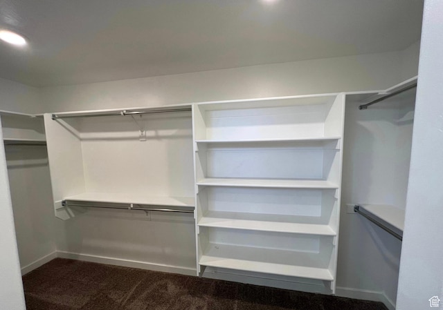 632 N Sugar Beet Dr Unit 224, Lehi, UT 84043 - walk in closet featuring carpet flooring