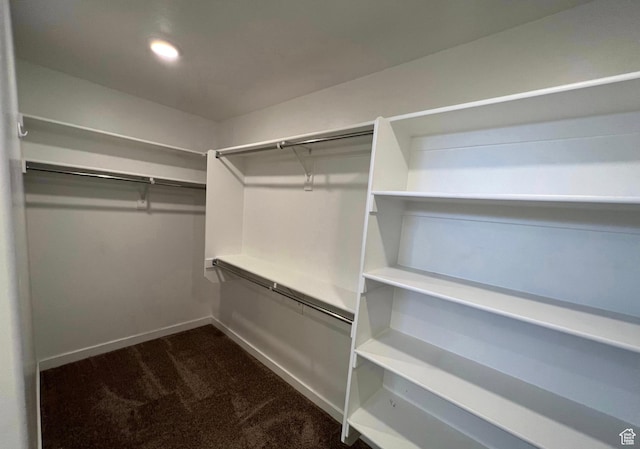 632 N Sugar Beet Dr Unit 224, Lehi, UT 84043 - walk in closet with dark colored carpet