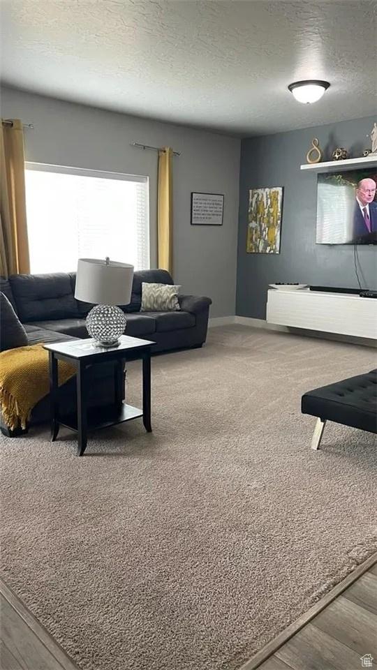14771 S Palmerston Way W, Herriman, UT 84096 - photo 12