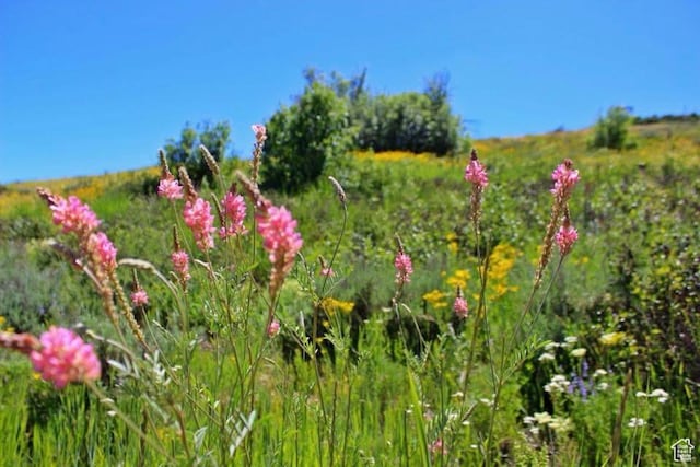 0, Avon, UT 84328
