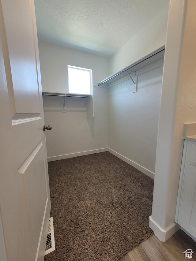 1596 S 3740 E Unit 1358, Spanish Fork, UT 84660 - spacious closet with carpet floors