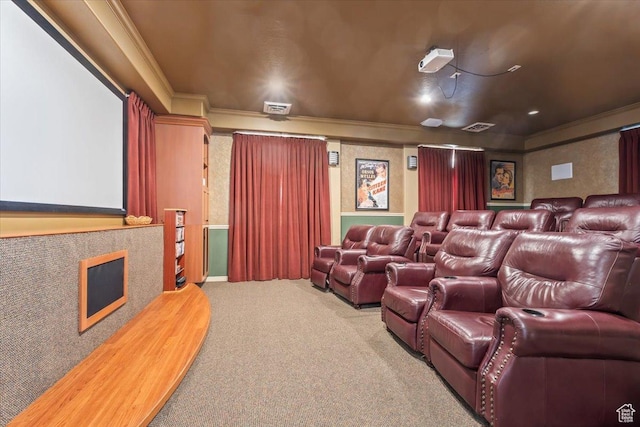 317 S 450 W Unit C, Springville, UT 84663 - carpeted home theater with ornamental molding and a fireplace