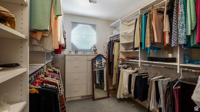 2262 E Emerald Hills Ct, Cottonwood Heights, UT 84121 - view of spacious closet