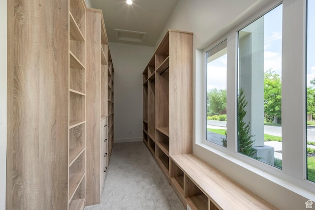 1958 E Longview Dr, Holladay, UT 84124 - spacious closet featuring carpet floors