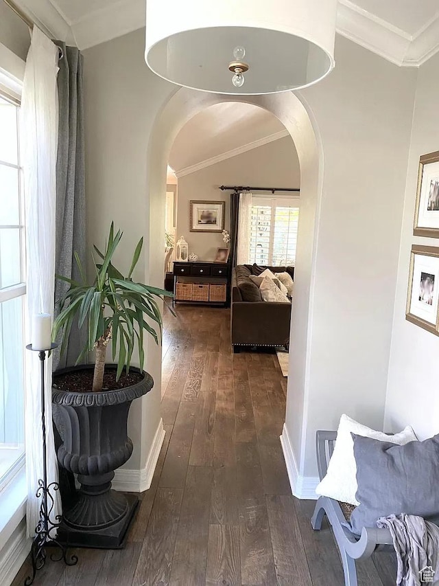4854 N Shady Bend Ln, Lehi, UT 84043 - hall with arched walkways, dark wood finished floors, and ornamental molding