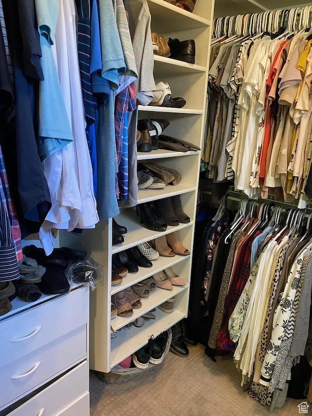4854 N Shady Bend Ln, Lehi, UT 84043 - view of walk in closet