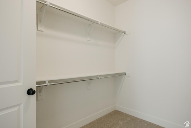 1026 W Chokecherry Dr Unit 135, Mapleton, UT 84664 - walk in closet featuring light carpet