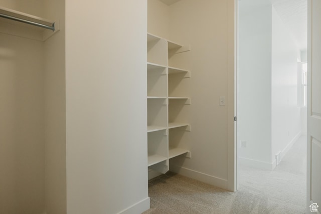 1026 W Chokecherry Dr Unit 135, Mapleton, UT 84664 - walk in closet featuring carpet