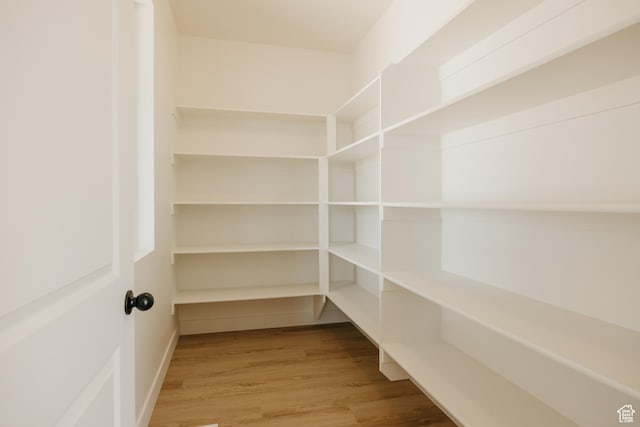 1026 W Chokecherry Dr Unit 135, Mapleton, UT 84664 - view of pantry