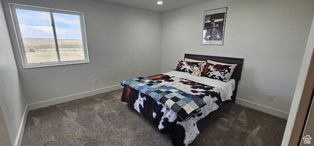 1275 S Lawrence Rd, Huntington, UT 84528 - carpeted bedroom with baseboards and recessed lighting