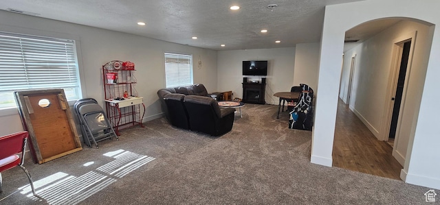 1275 S Lawrence Rd, Huntington, UT 84528 - carpeted living area with arched walkways, recessed lighting, a textured ceiling, and a fireplace