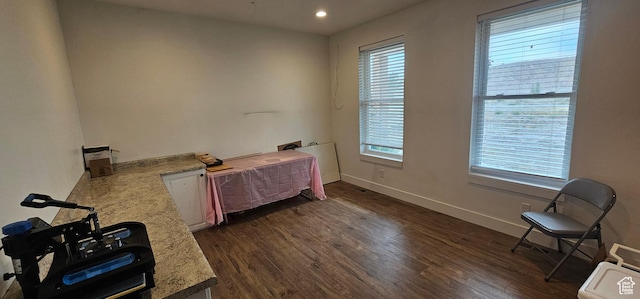 1275 S Lawrence Rd, Huntington, UT 84528 - bedroom featuring multiple windows, dark wood-style flooring, and recessed lighting