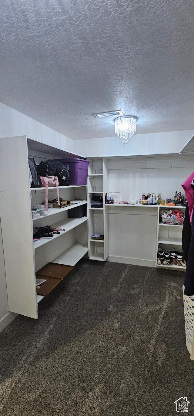 1275 S Lawrence Rd, Huntington, UT 84528 - spacious closet with dark carpet