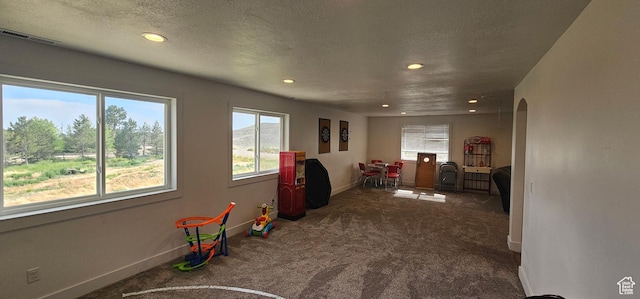 1275 S Lawrence Rd, Huntington, UT 84528 - game room featuring carpet floors, healthy amount of natural light, recessed lighting, a textured ceiling, and arched walkways