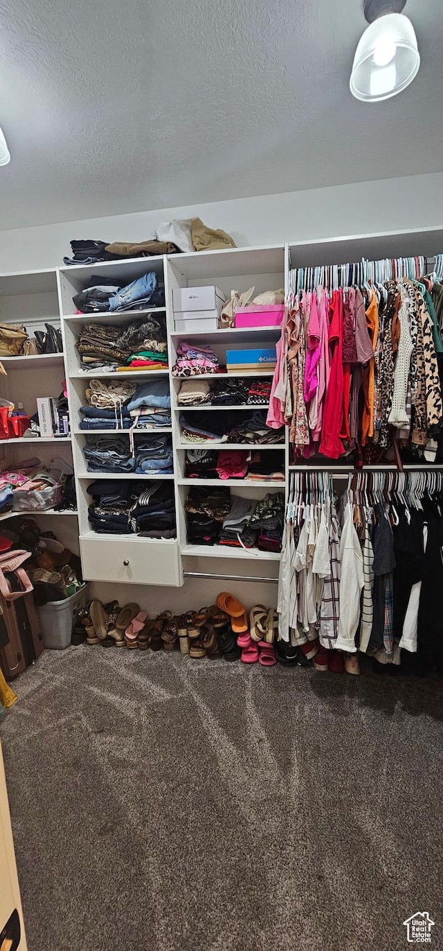 1275 S Lawrence Rd, Huntington, UT 84528 - walk in closet featuring carpet floors