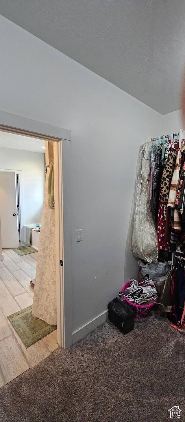1275 S Lawrence Rd, Huntington, UT 84528 - spacious closet with light carpet