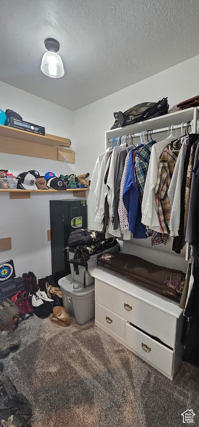 1275 S Lawrence Rd, Huntington, UT 84528 - walk in closet with carpet