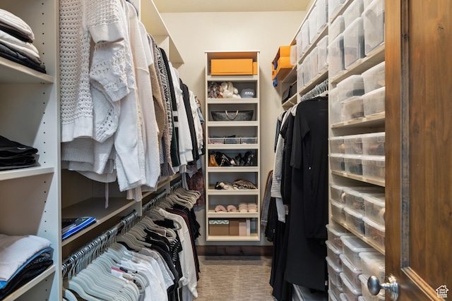 4014 W Hidden Cv Unit 11, Park City, UT 84098 - spacious closet with carpet floors