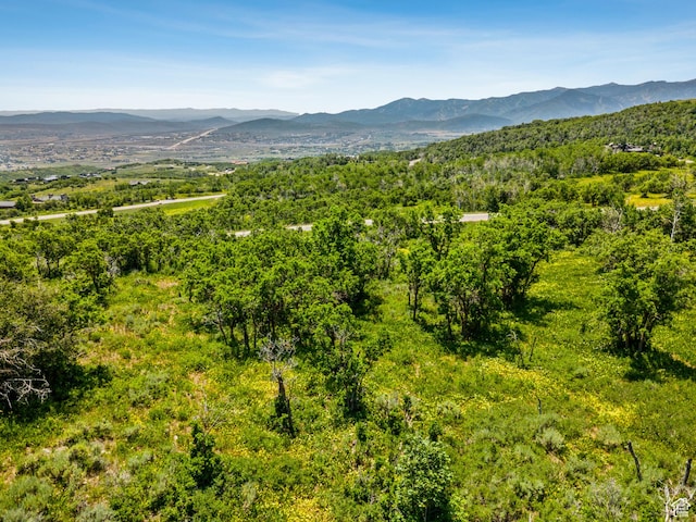1520 Preserve Dr Unit 74, Park City, UT 84098