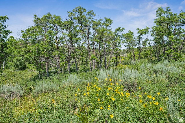 1520 Preserve Dr Unit 74, Park City, UT 84098