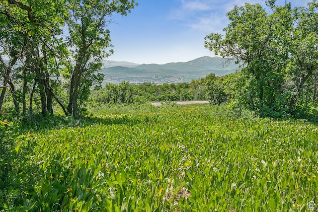1520 Preserve Dr Unit 74, Park City, UT 84098
