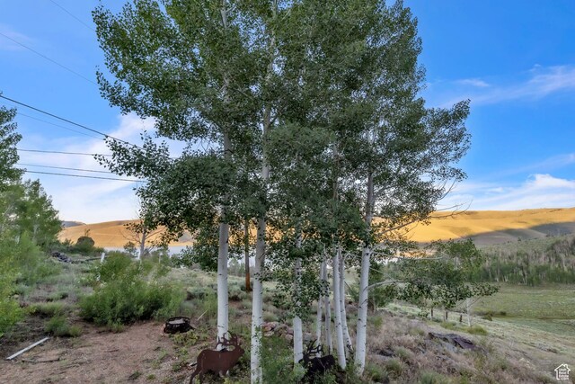 1960 N Lake Dr, Scofield, UT 84526 - view of yard with a mountain view
