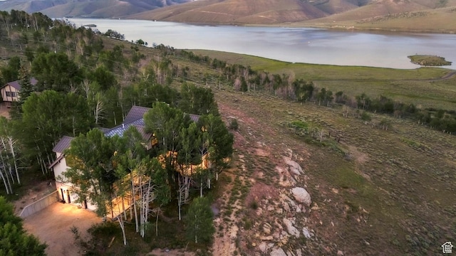 1960 N Lake Dr, Scofield, UT 84526 - aerial overview of property's location with a water and mountain view