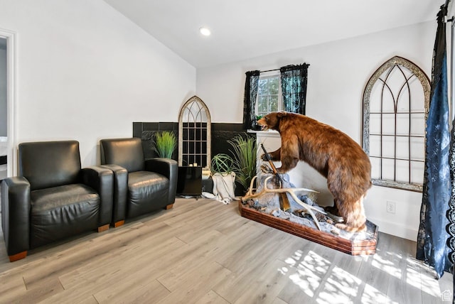340 N Main St, Monroe, UT 84754 - living area featuring wood finished floors, lofted ceiling, and recessed lighting