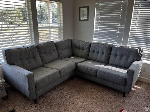 510 100 W, Georgetown, ID 83239 - photo 8