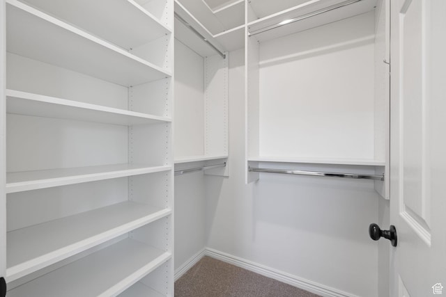 392 N Seven Peaks Blvd Unit 322, Provo, UT 84606 - view of walk in closet
